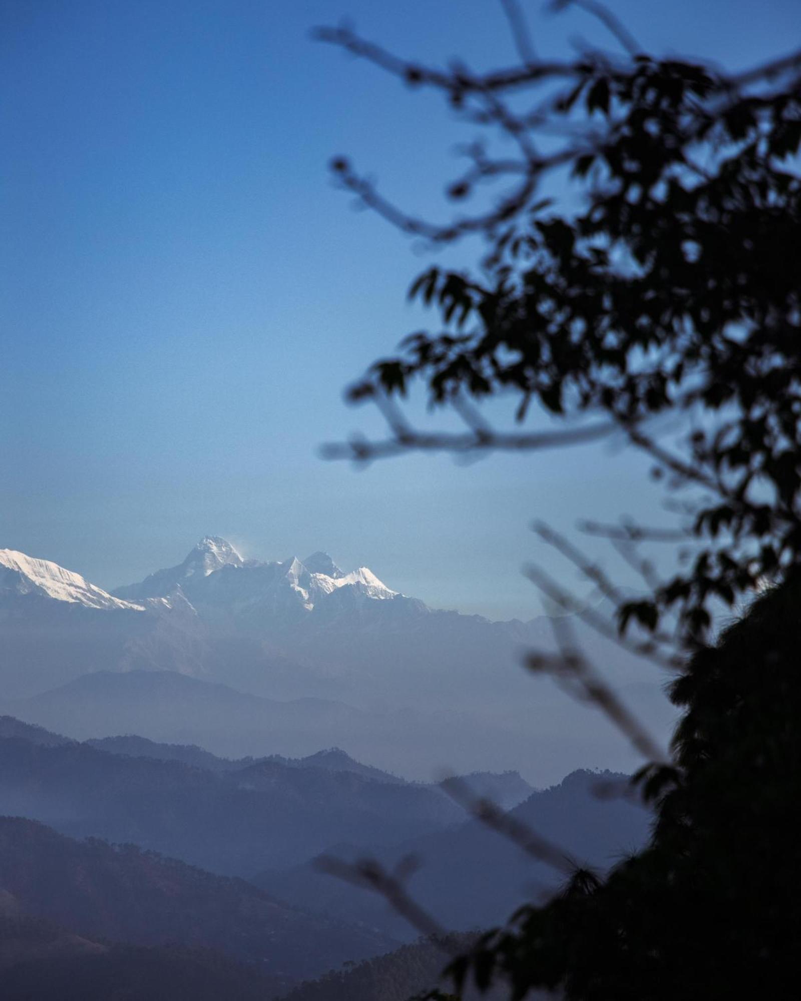 Kasar Himalaya Holiday Resort, Binsar Rd Almora Buitenkant foto